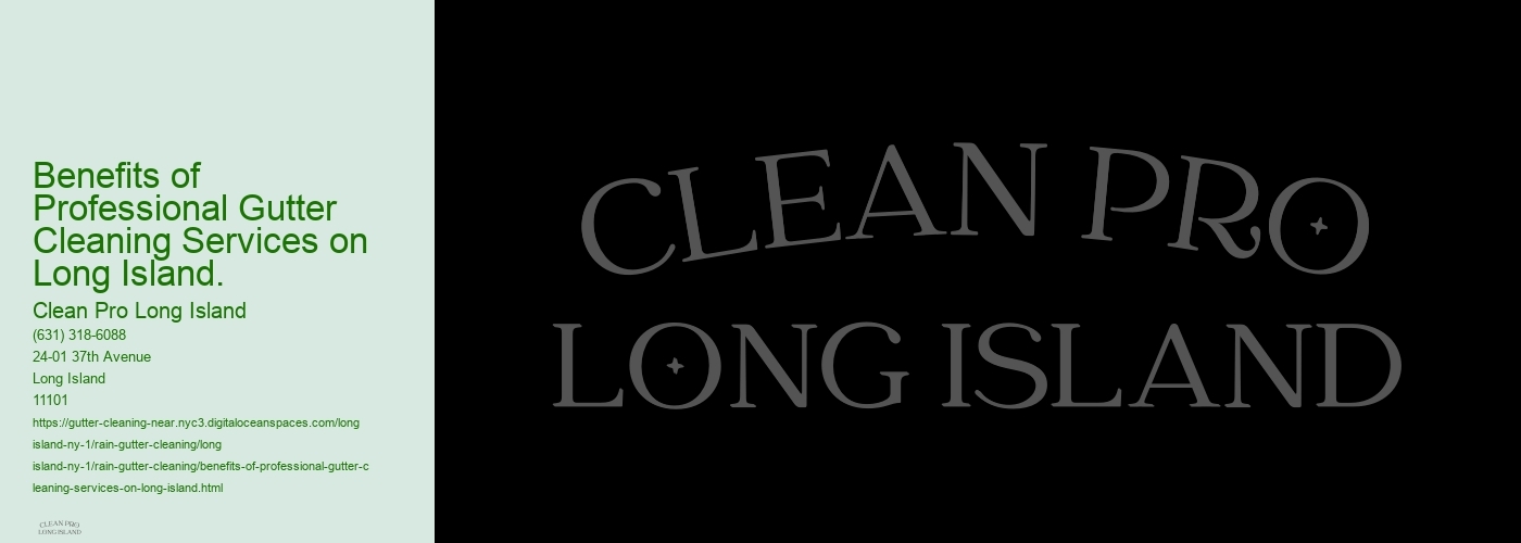 Benefits of Professional Gutter Cleaning Services on Long Island. 