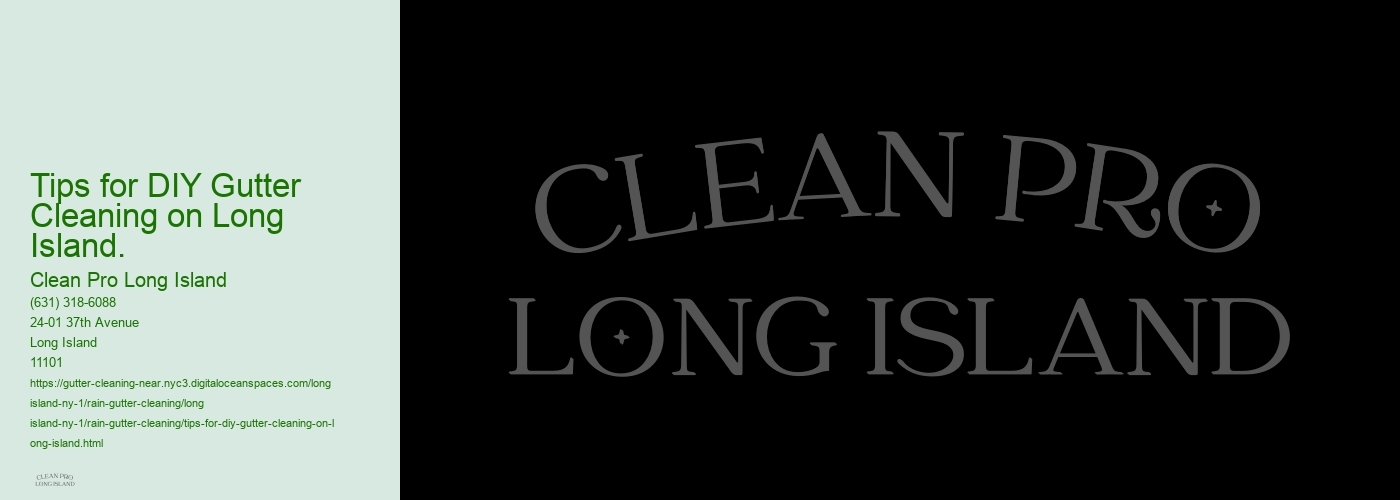 Tips for DIY Gutter Cleaning on Long Island. 