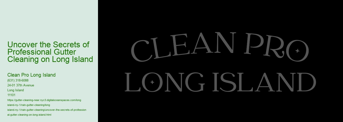 Uncover the Secrets of Professional Gutter Cleaning on Long Island 