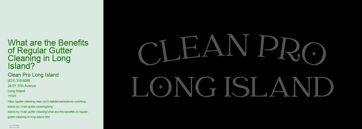 What are the Benefits of Regular Gutter Cleaning in Long Island? 