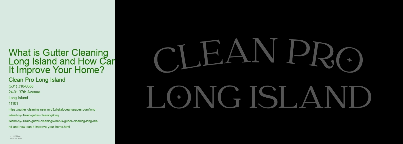 What is Gutter Cleaning Long Island and How Can It Improve Your Home? 