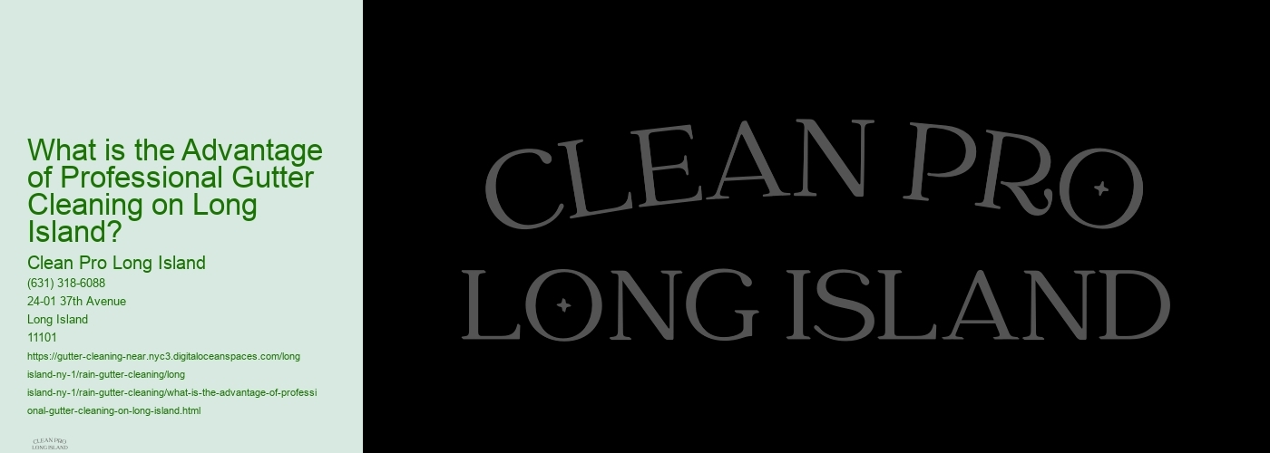 What is the Advantage of Professional Gutter Cleaning on Long Island? 
