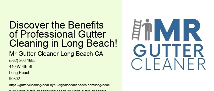 Discover the Benefits of Professional Gutter Cleaning in Long Beach!