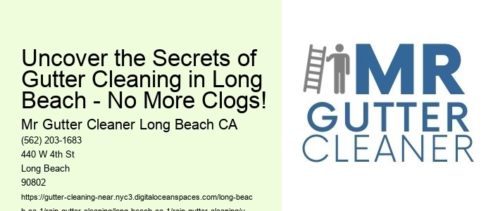 Uncover the Secrets of Gutter Cleaning in Long Beach - No More Clogs!