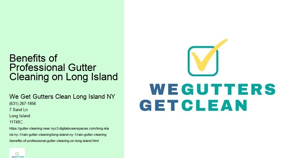Benefits of Professional Gutter Cleaning on Long Island 