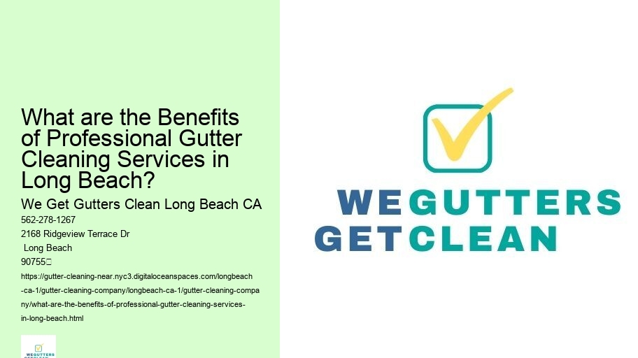 What are the Benefits of Professional Gutter Cleaning Services in Long Beach?