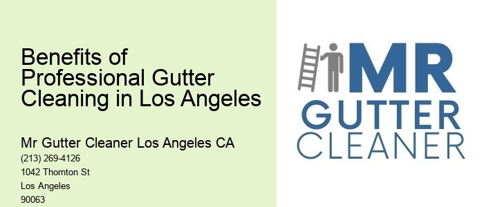 Benefits of Professional Gutter Cleaning in Los Angeles 