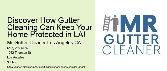 Discover How Gutter Cleaning Can Keep Your Home Protected in LA!