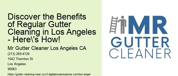 Discover the Benefits of Regular Gutter Cleaning in Los Angeles - Here's How!