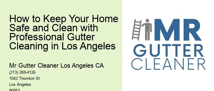 How to Keep Your Home Safe and Clean with Professional Gutter Cleaning in Los Angeles 