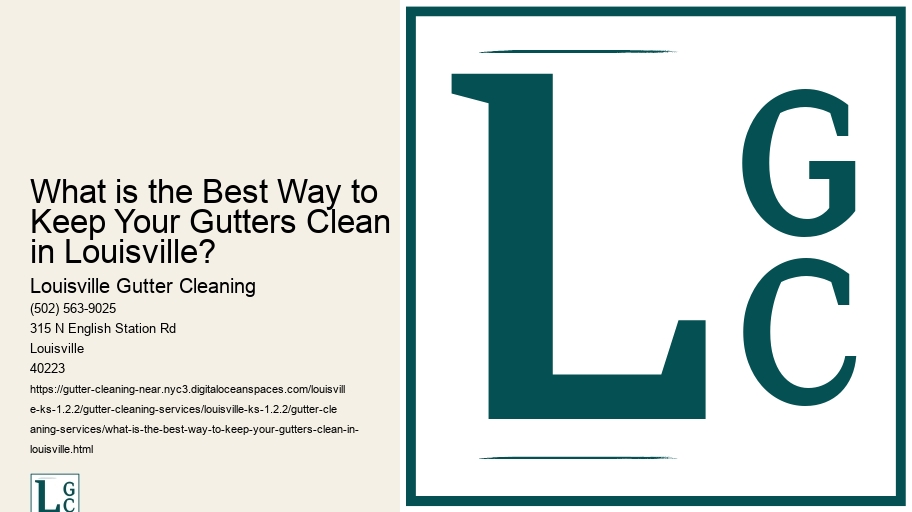 What is the Best Way to Keep Your Gutters Clean in Louisville? 