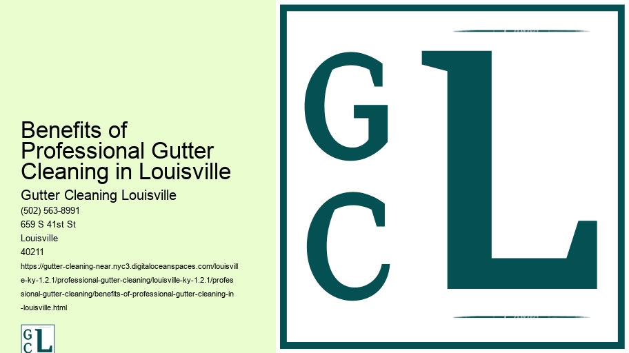 Benefits of Professional Gutter Cleaning in Louisville 