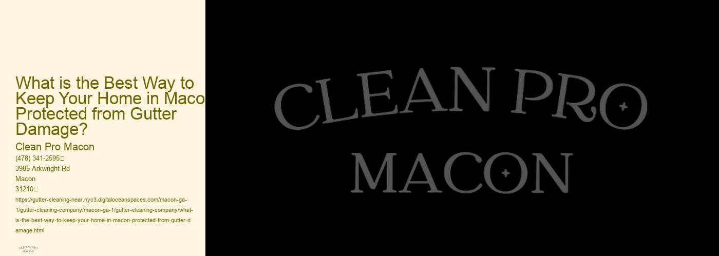 What is the Best Way to Keep Your Home in Macon Protected from Gutter Damage? 