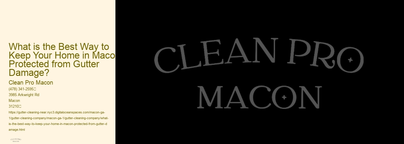 What is the Best Way to Keep Your Home in Macon Protected from Gutter Damage? 