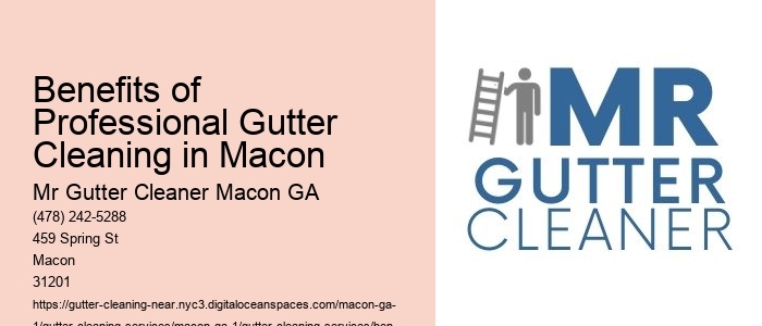 Benefits of Professional Gutter Cleaning in Macon 