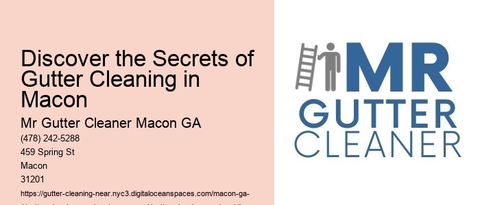 Discover the Secrets of Gutter Cleaning in Macon