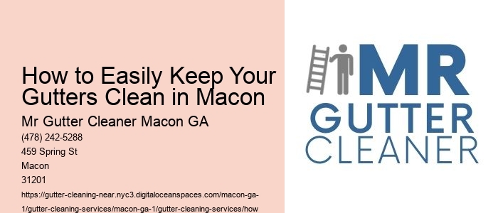 How to Easily Keep Your Gutters Clean in Macon 