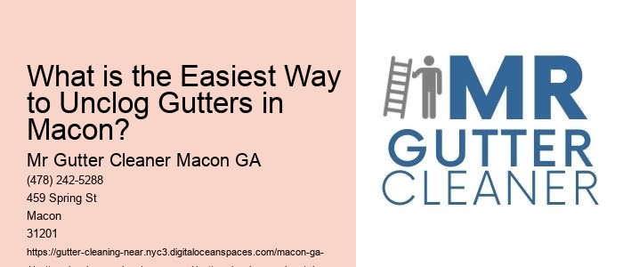 What is the Easiest Way to Unclog Gutters in Macon? 
