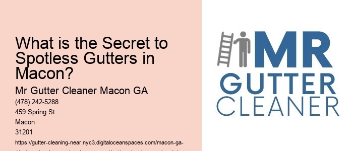 What is the Secret to Spotless Gutters in Macon?