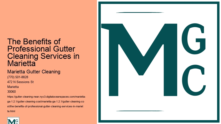 The Benefits of Professional Gutter Cleaning Services in Marietta 