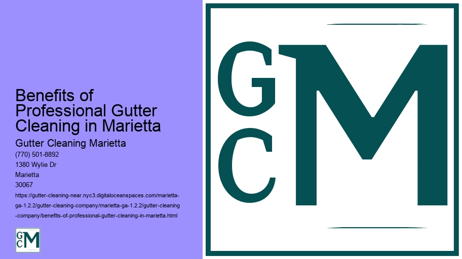 Benefits of Professional Gutter Cleaning in Marietta 