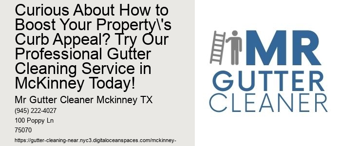 Curious About How to Boost Your Property's Curb Appeal? Try Our Professional Gutter Cleaning Service in McKinney Today!