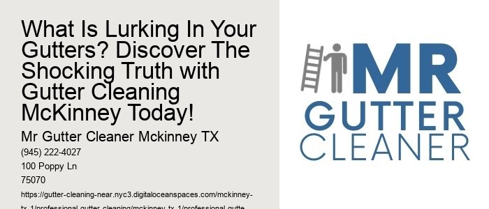 What Is Lurking In Your Gutters? Discover The Shocking Truth with Gutter Cleaning McKinney Today!