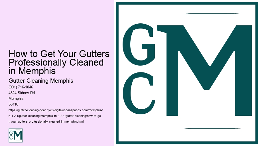 How to Get Your Gutters Professionally Cleaned in Memphis 