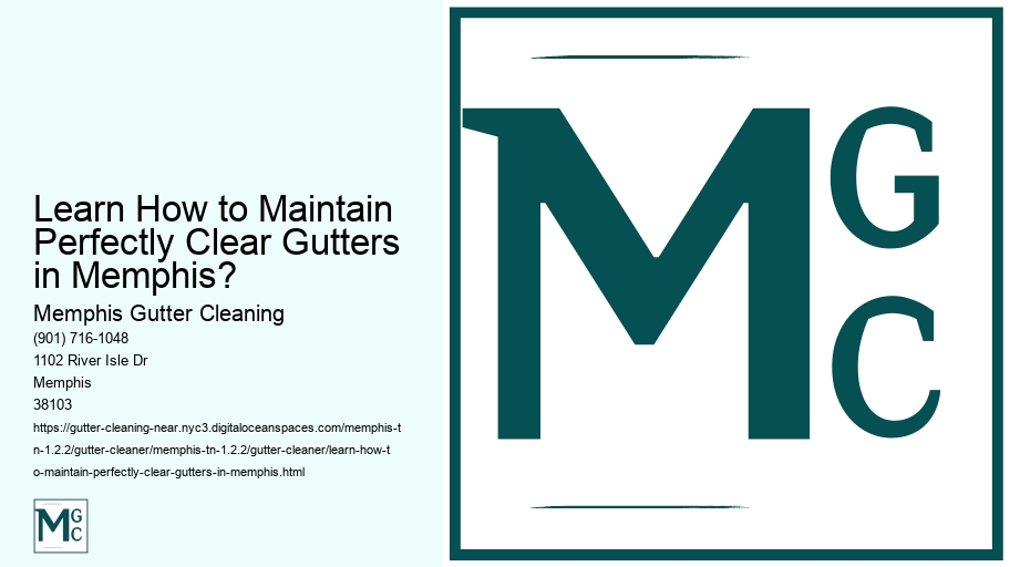 Learn How to Maintain Perfectly Clear Gutters in Memphis?