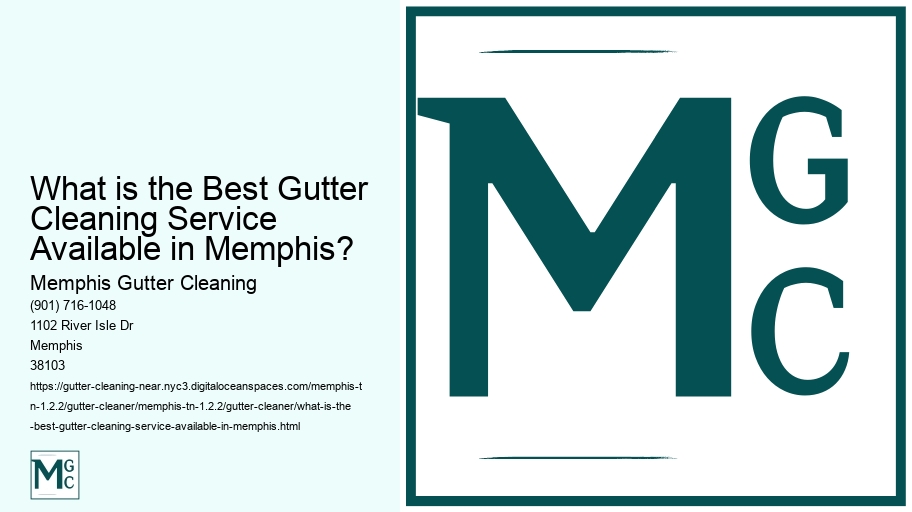 What is the Best Gutter Cleaning Service Available in Memphis?