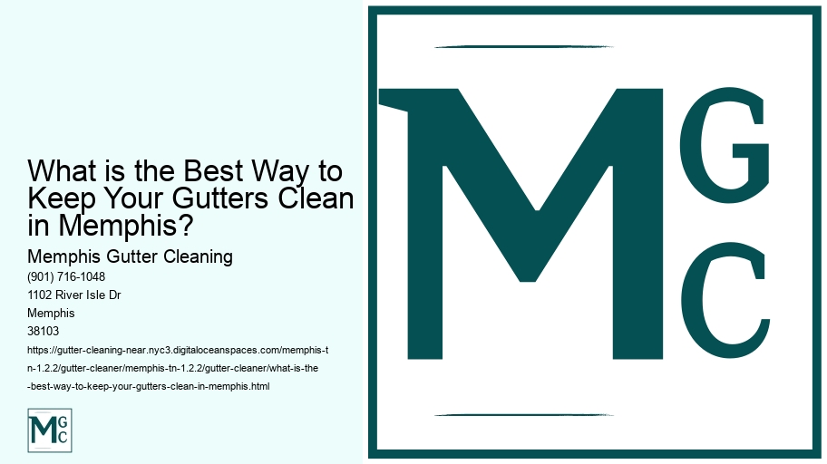 What is the Best Way to Keep Your Gutters Clean in Memphis? 