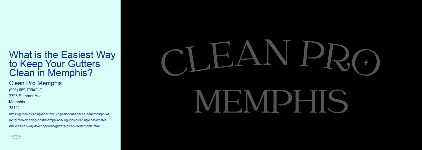 What is the Easiest Way to Keep Your Gutters Clean in Memphis? 