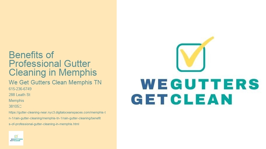 Benefits of Professional Gutter Cleaning in Memphis 