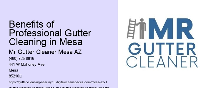 Benefits of Professional Gutter Cleaning in Mesa 