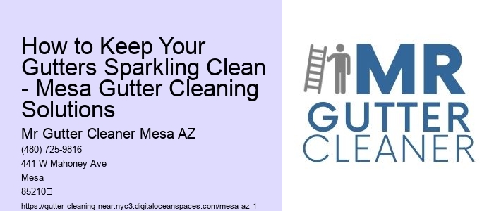 How to Keep Your Gutters Sparkling Clean - Mesa Gutter Cleaning Solutions 