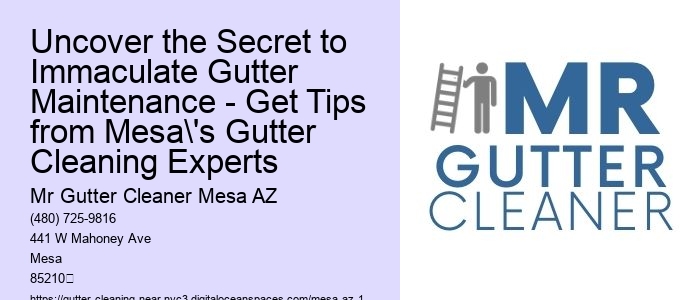 Uncover the Secret to Immaculate Gutter Maintenance - Get Tips from Mesa's Gutter Cleaning Experts