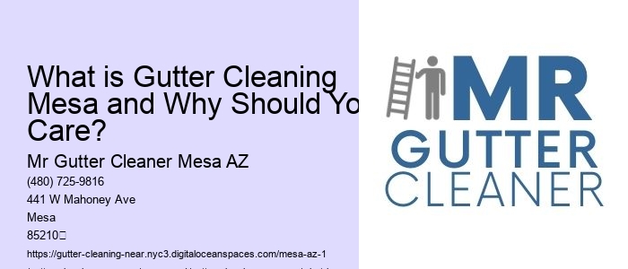 What is Gutter Cleaning Mesa and Why Should You Care?