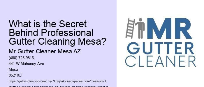 What is the Secret Behind Professional Gutter Cleaning Mesa?