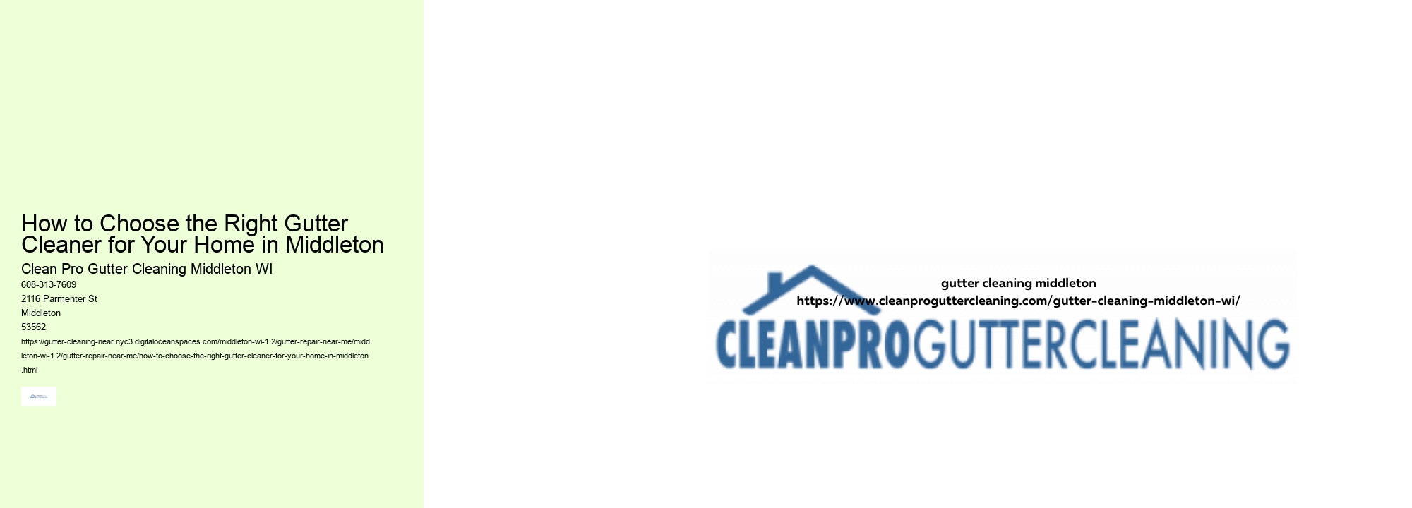 How to Choose the Right Gutter Cleaner for Your Home in Middleton 
