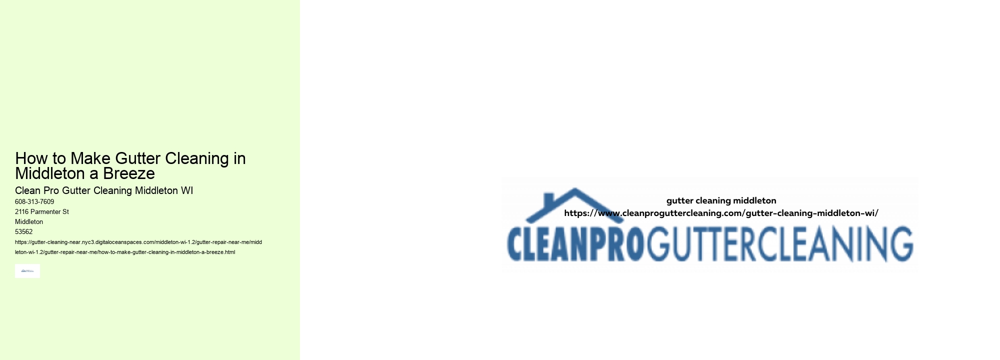 How to Make Gutter Cleaning in Middleton a Breeze 