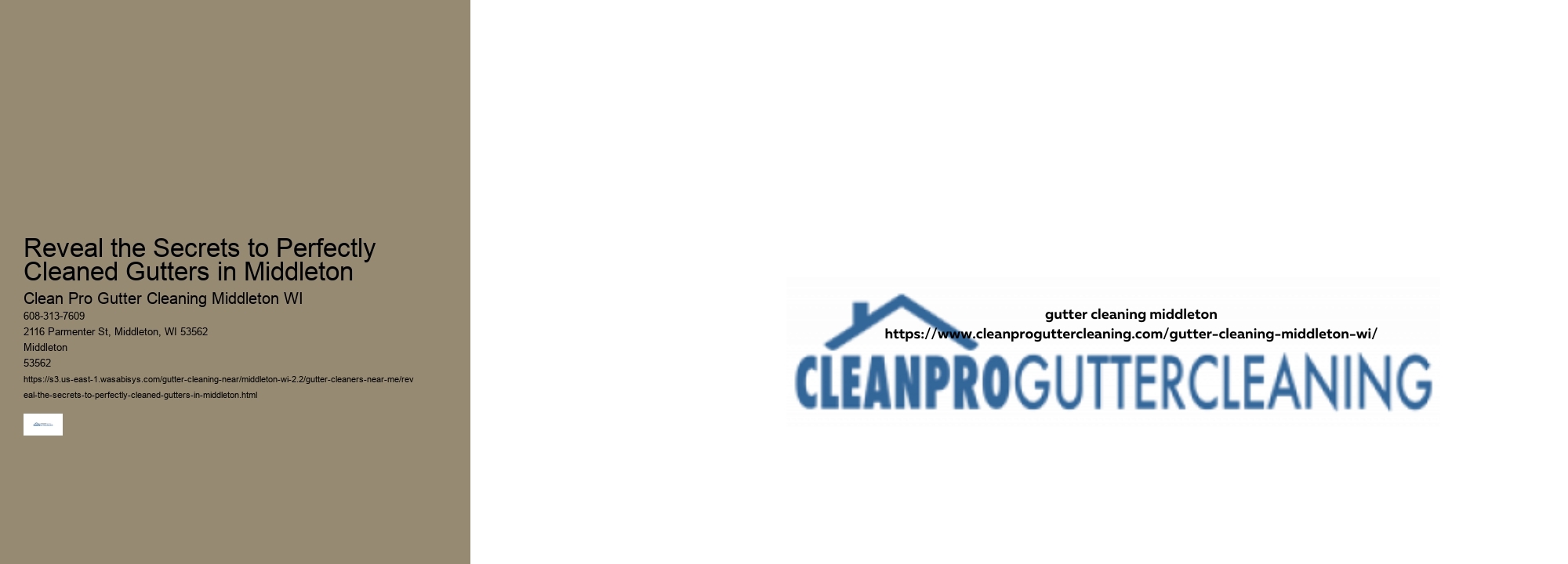 Reveal the Secrets to Perfectly Cleaned Gutters in Middleton 