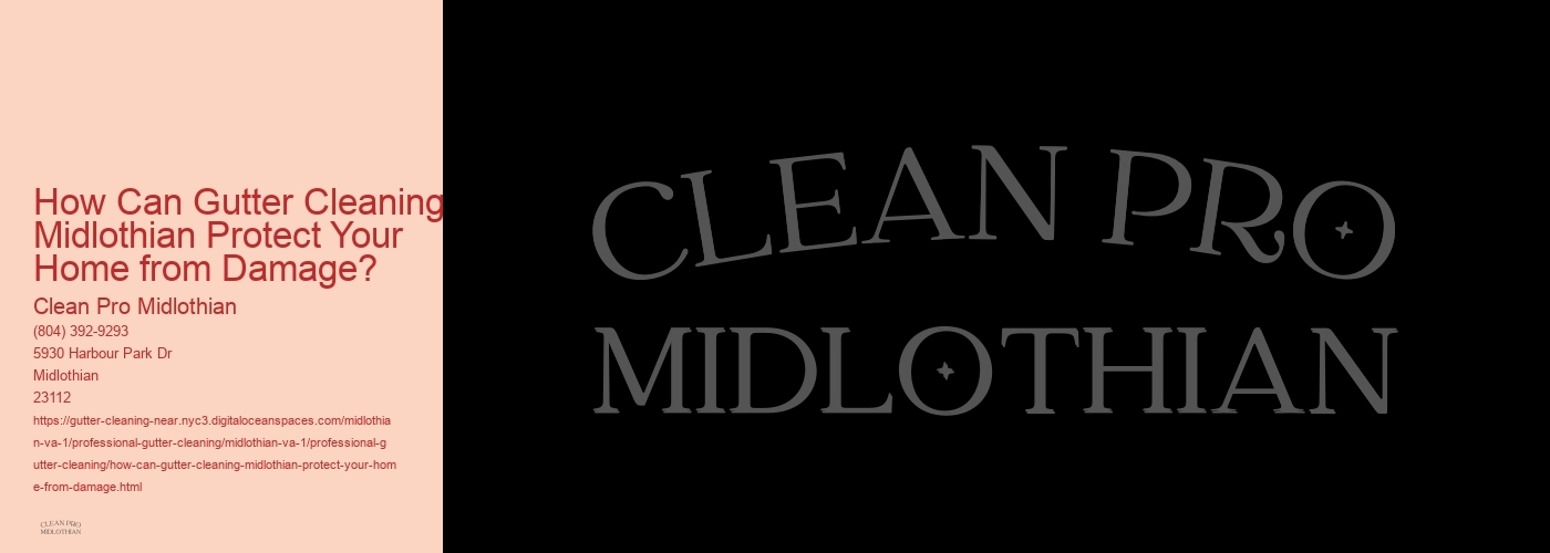 How Can Gutter Cleaning Midlothian Protect Your Home from Damage? 