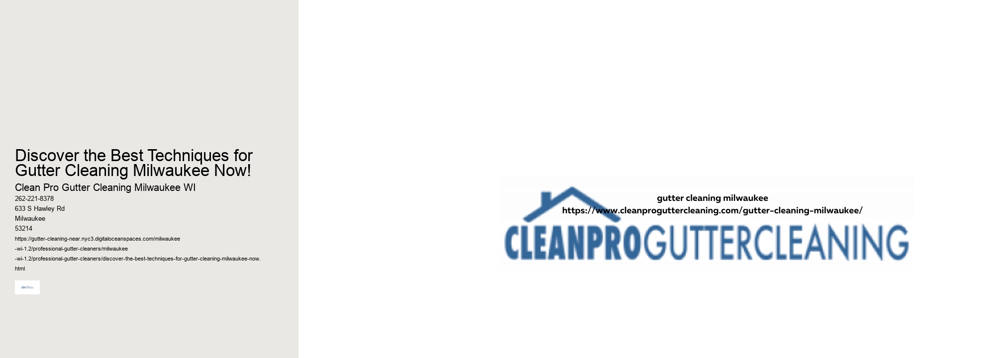 Discover the Best Techniques for Gutter Cleaning Milwaukee Now!