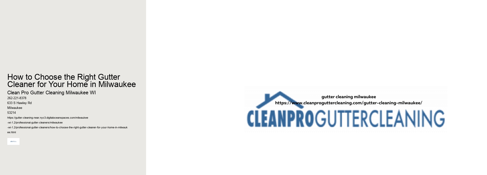 How to Choose the Right Gutter Cleaner for Your Home in Milwaukee 