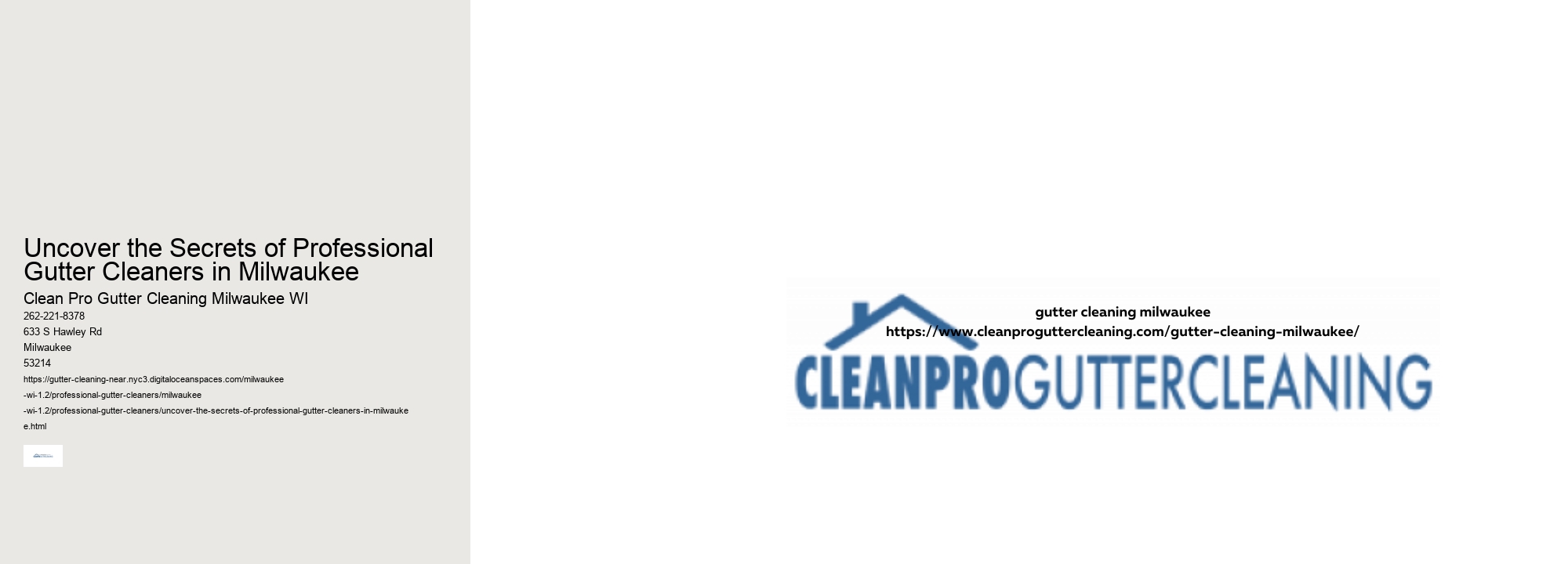 Uncover the Secrets of Professional Gutter Cleaners in Milwaukee 