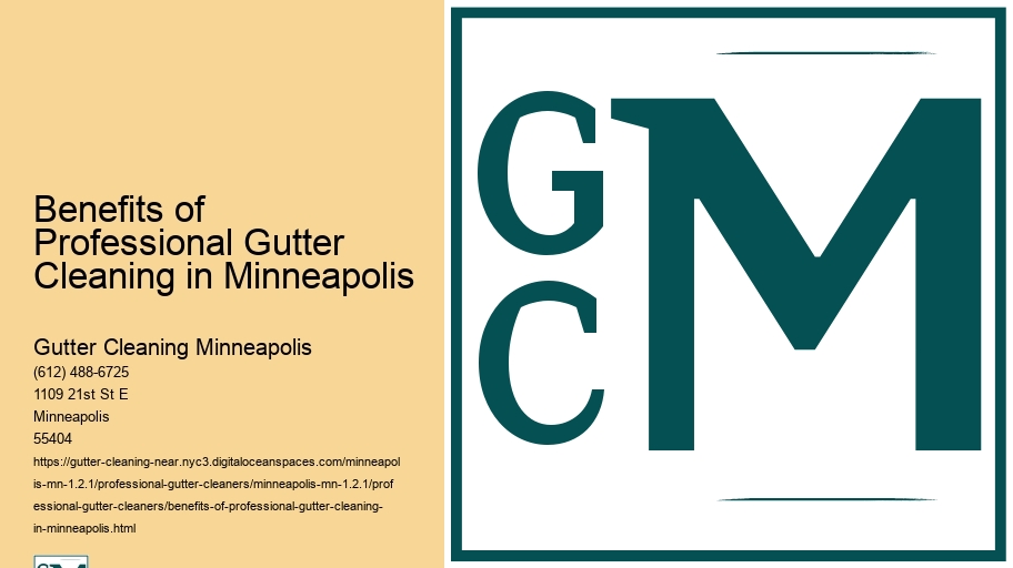 Benefits of Professional Gutter Cleaning in Minneapolis 