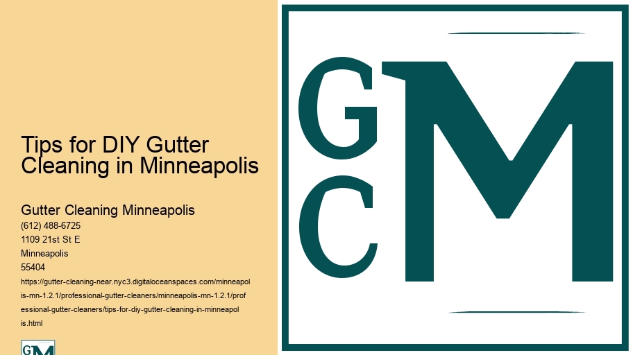 Tips for DIY Gutter Cleaning in Minneapolis 