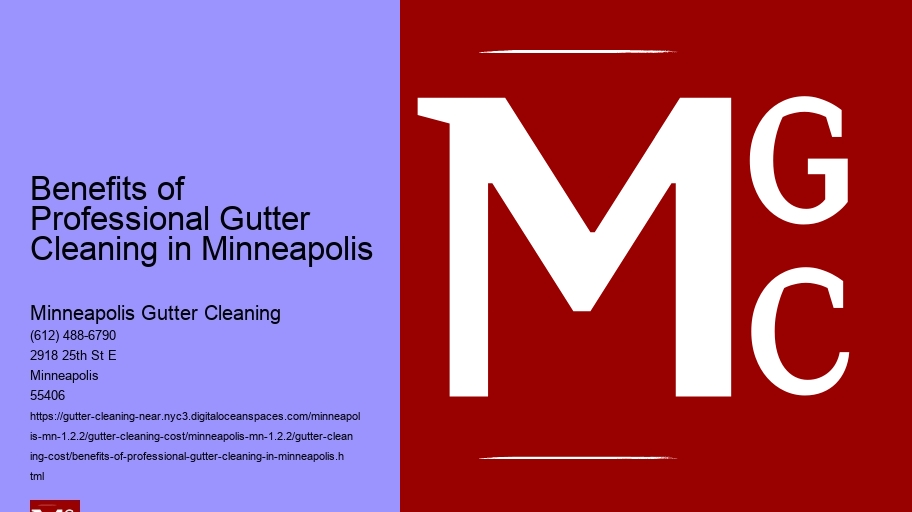 Benefits of Professional Gutter Cleaning in Minneapolis 