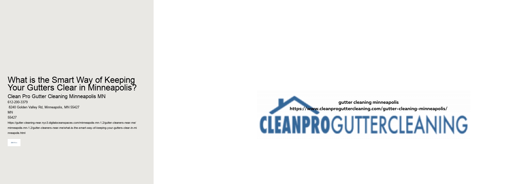 What is the Smart Way of Keeping Your Gutters Clear in Minneapolis? 
