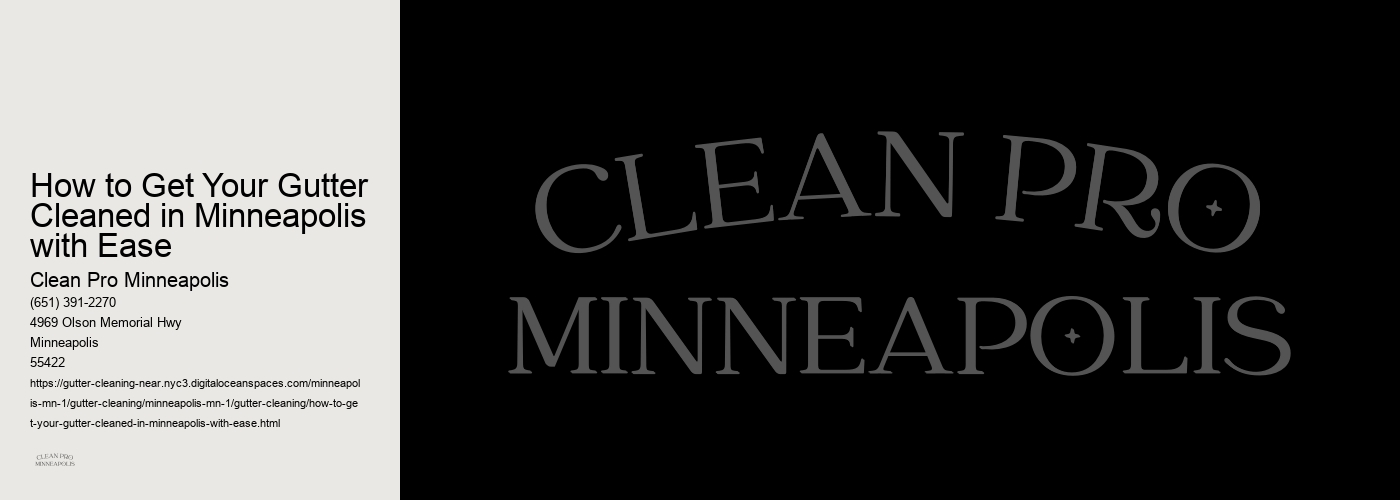 How to Get Your Gutter Cleaned in Minneapolis with Ease 